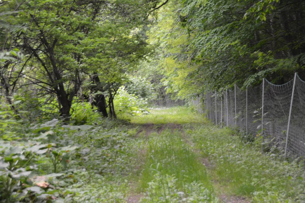 鹿家 Furano Dear House Villa Eksteriør bilde